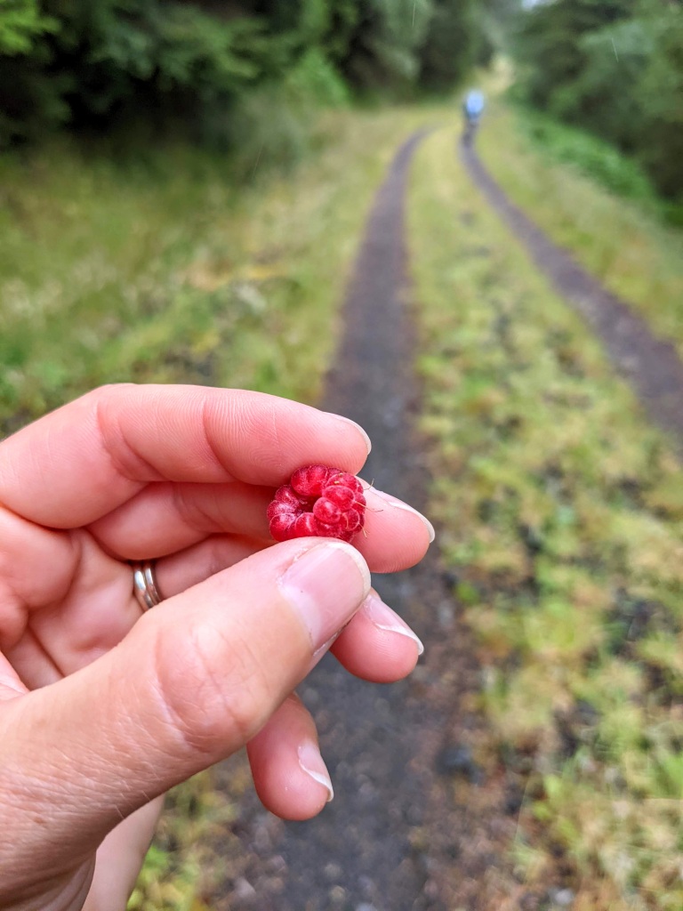 Me holding a wild raspberry in my hand