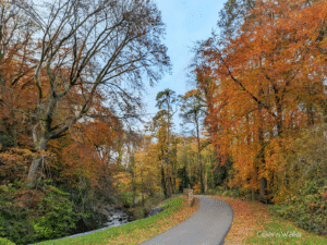 Wooded riverside path surrounded by vivid autumn colours