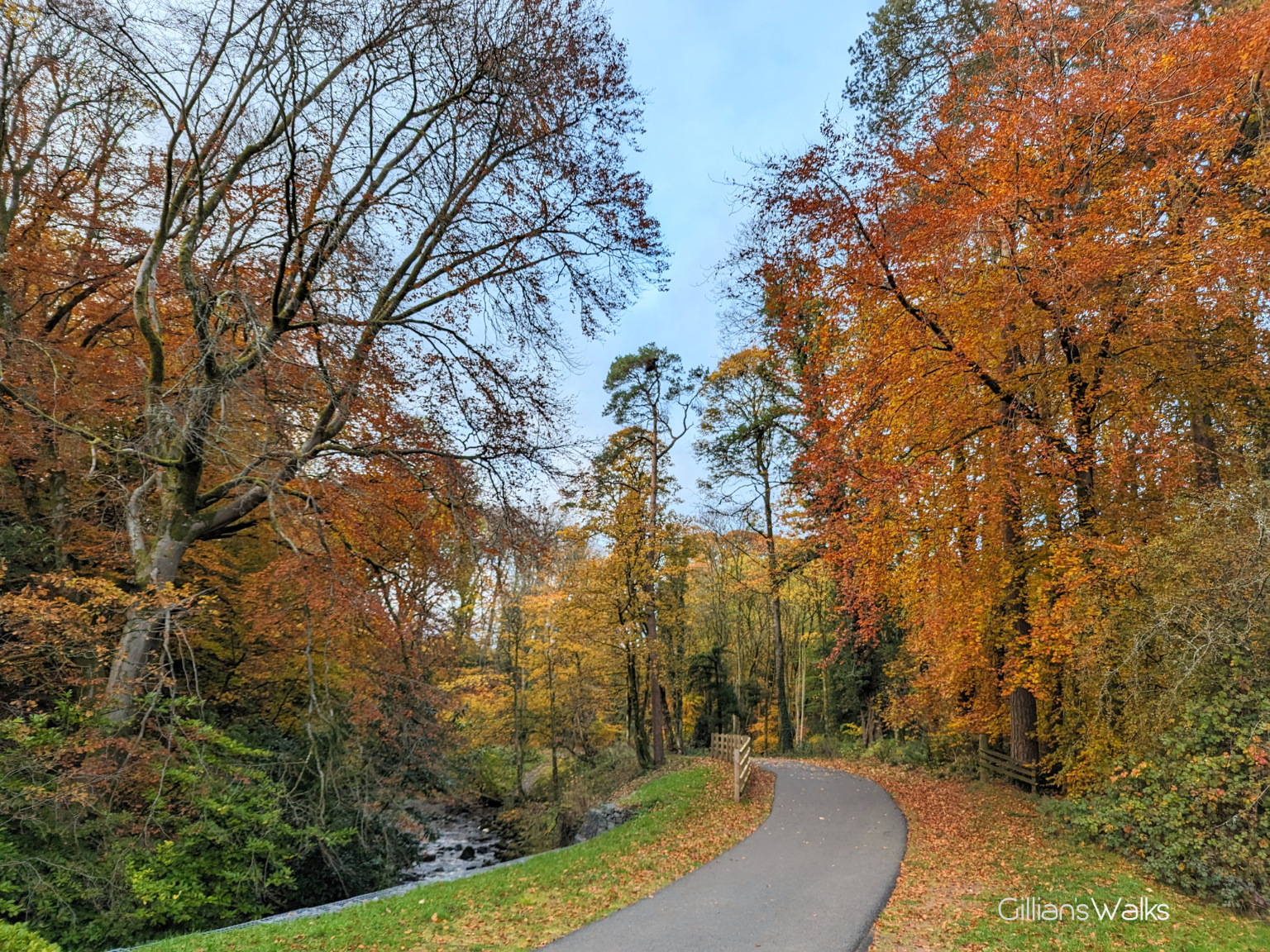 Wooded riverside path surrounded by vivid autumn colours