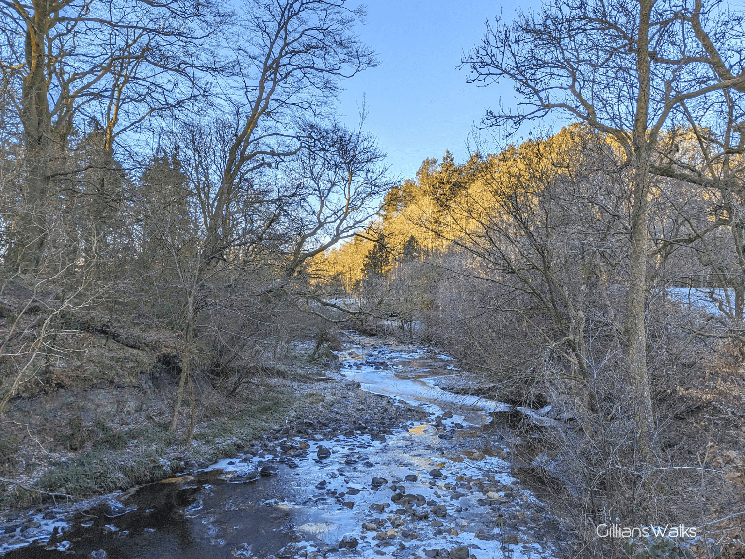 A frozen river set in amongst trees