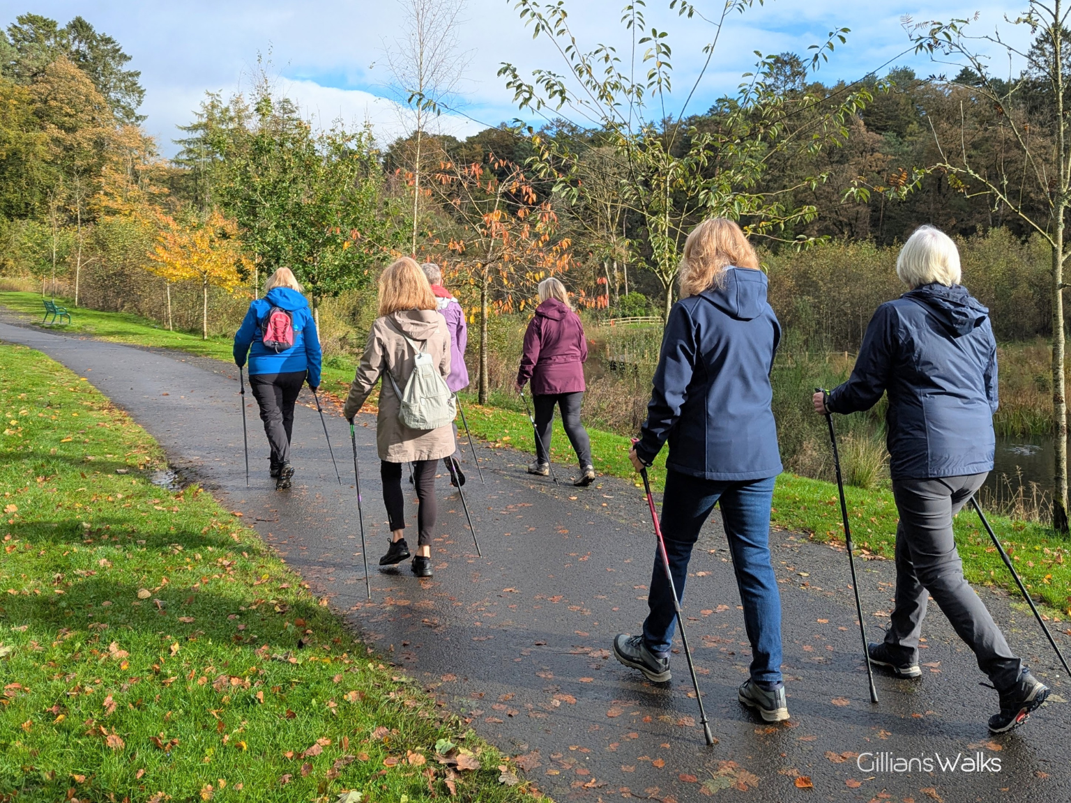 Group of ladies Nordic walking along a footpath in a park