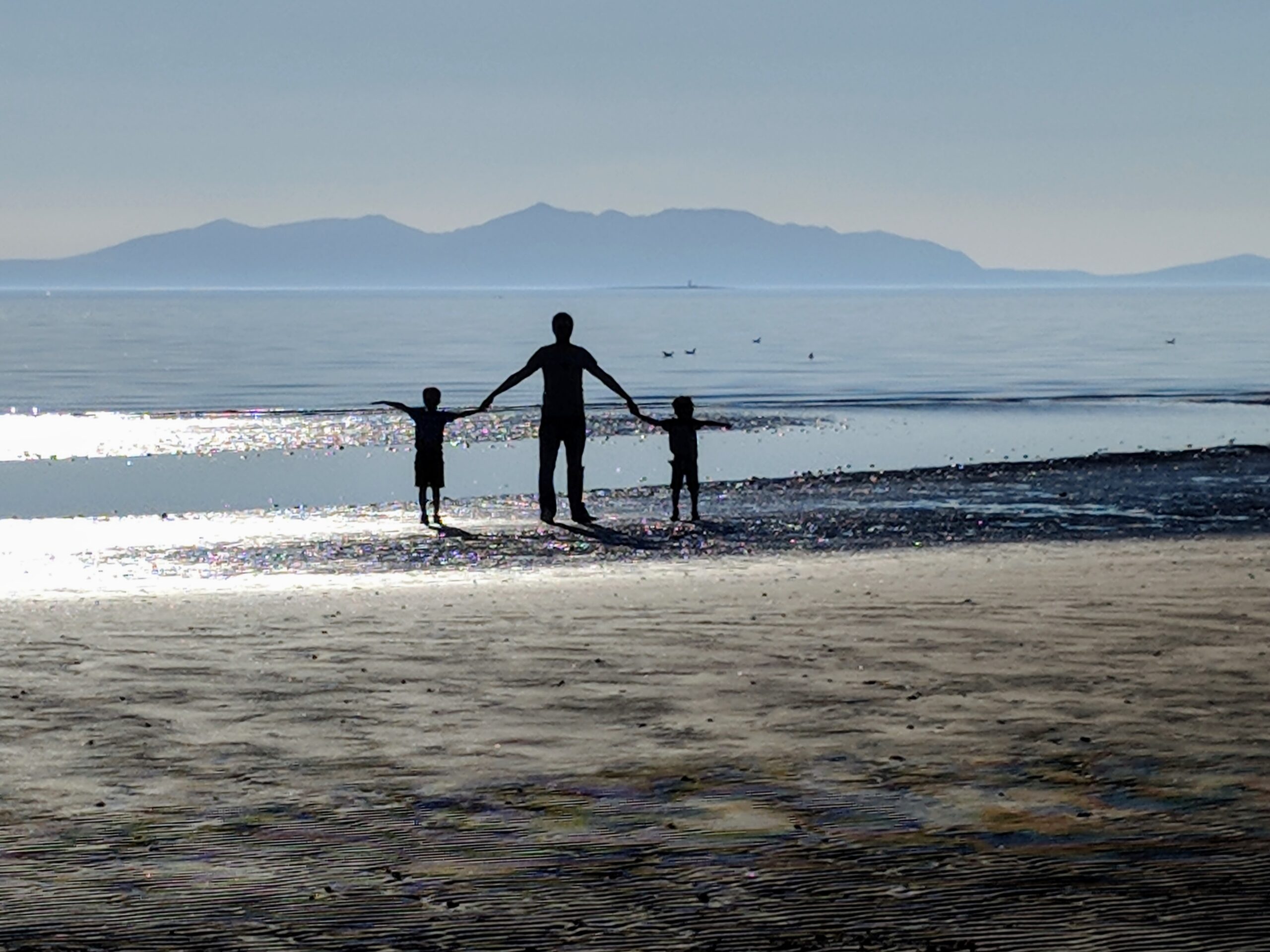 The silhouette of my husband and sons holding hands looking out towards the sea and Arran, with the sun beginning to set.  