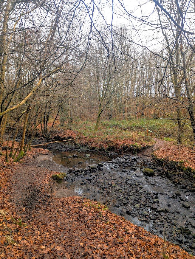 Crossing point over a burn in Armsheugh Woods via uneven stepping stones