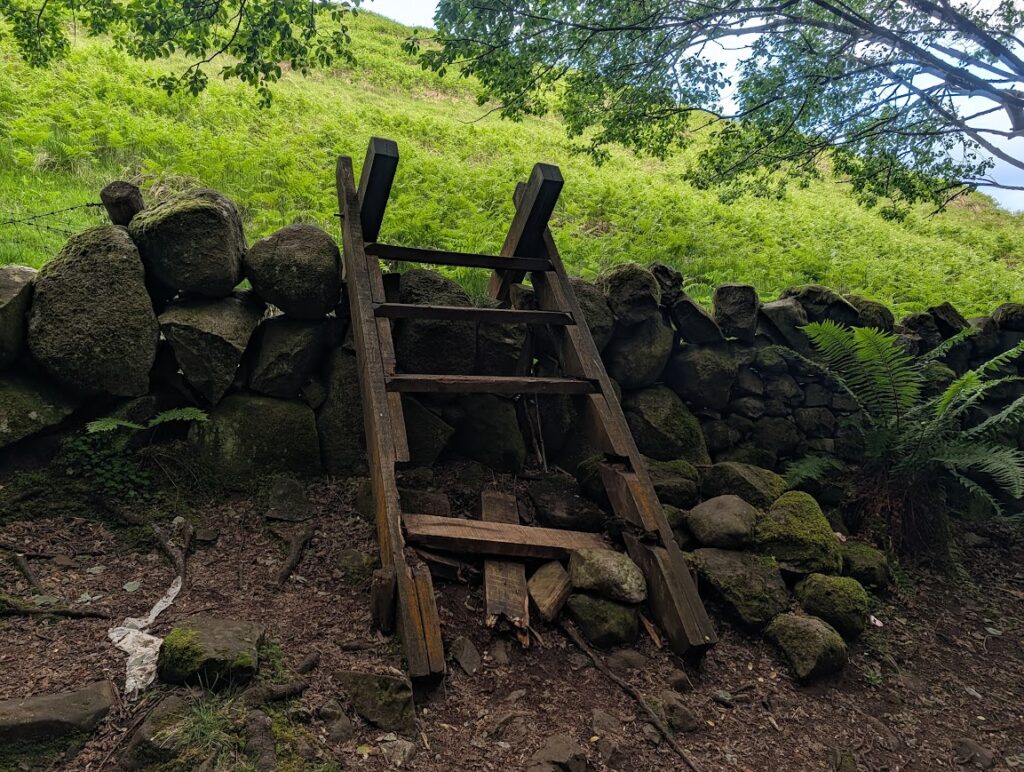 Ladder stile over a dry stone wall, with several rungs missing from the bottom