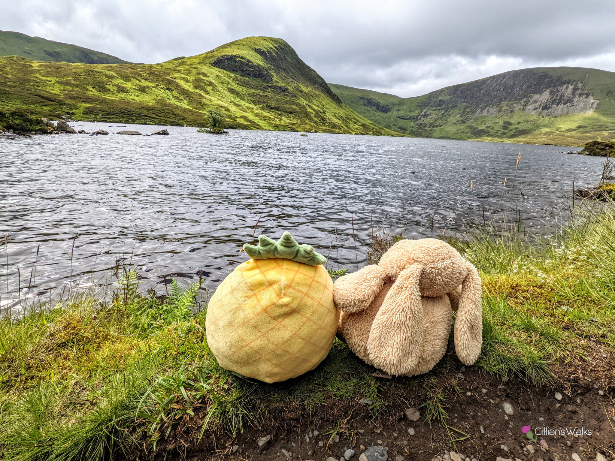 Two teddies sat on the grass looking out over Loch Skeen and the surrounding hills. 