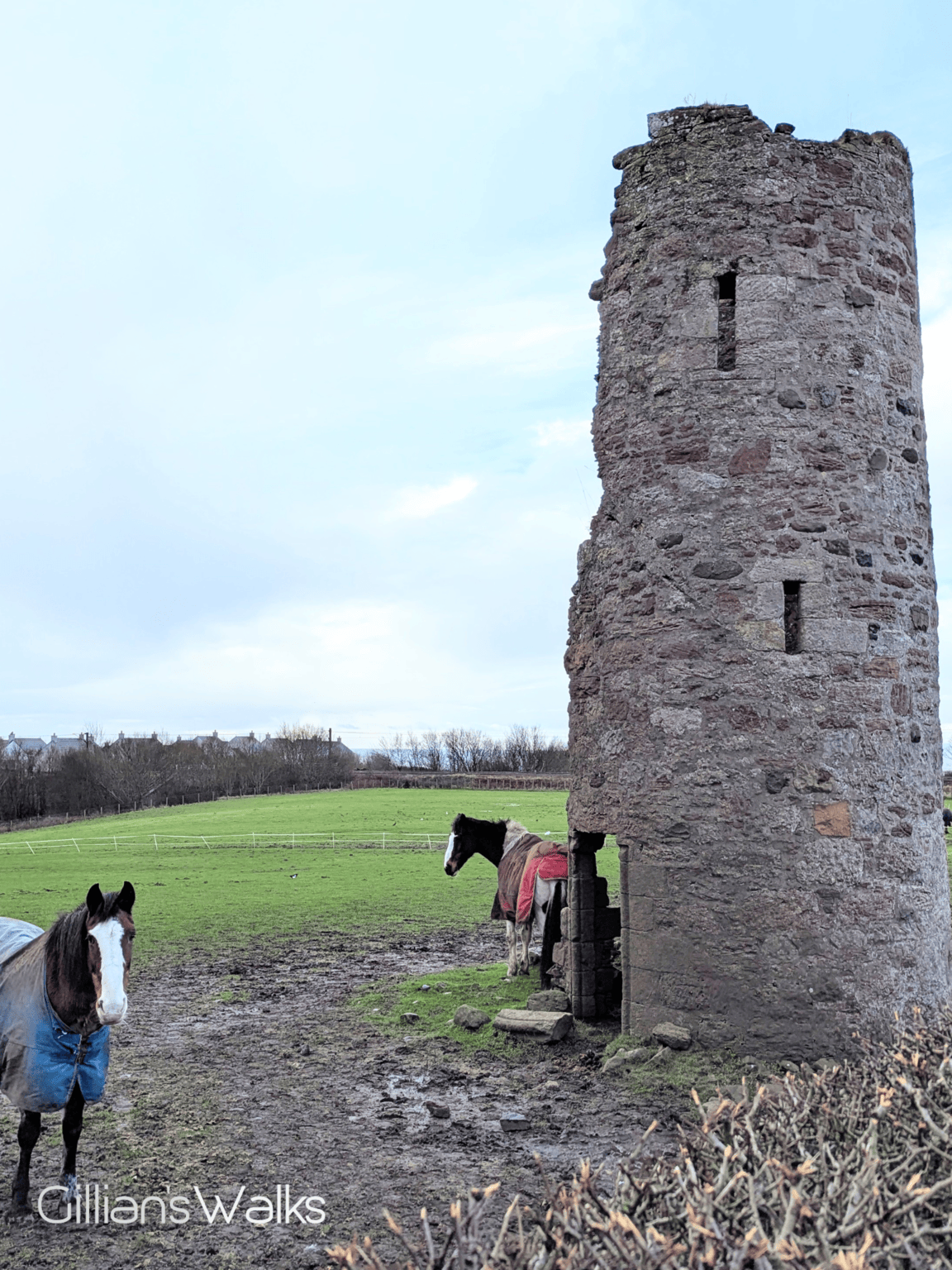 Two horses standing in a field beside a stone tower
