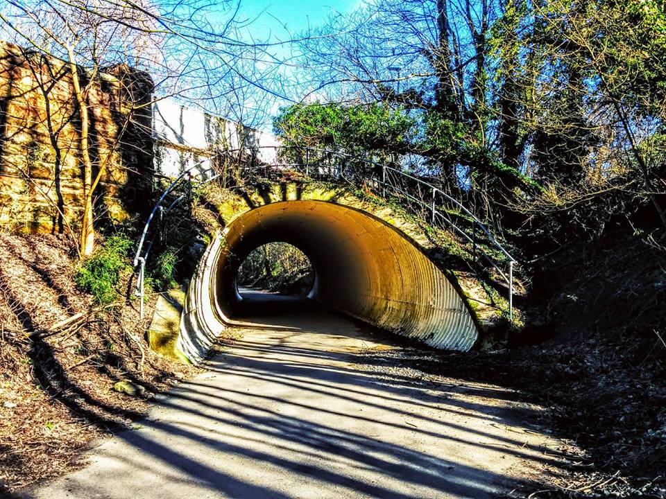 A tunnel on the Burton cycle track, Alloway