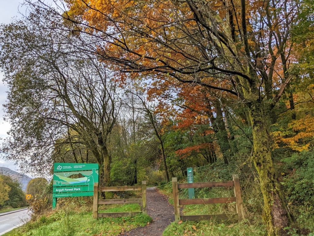 Entrance gates at a large "Argyll Forest Park" information board 