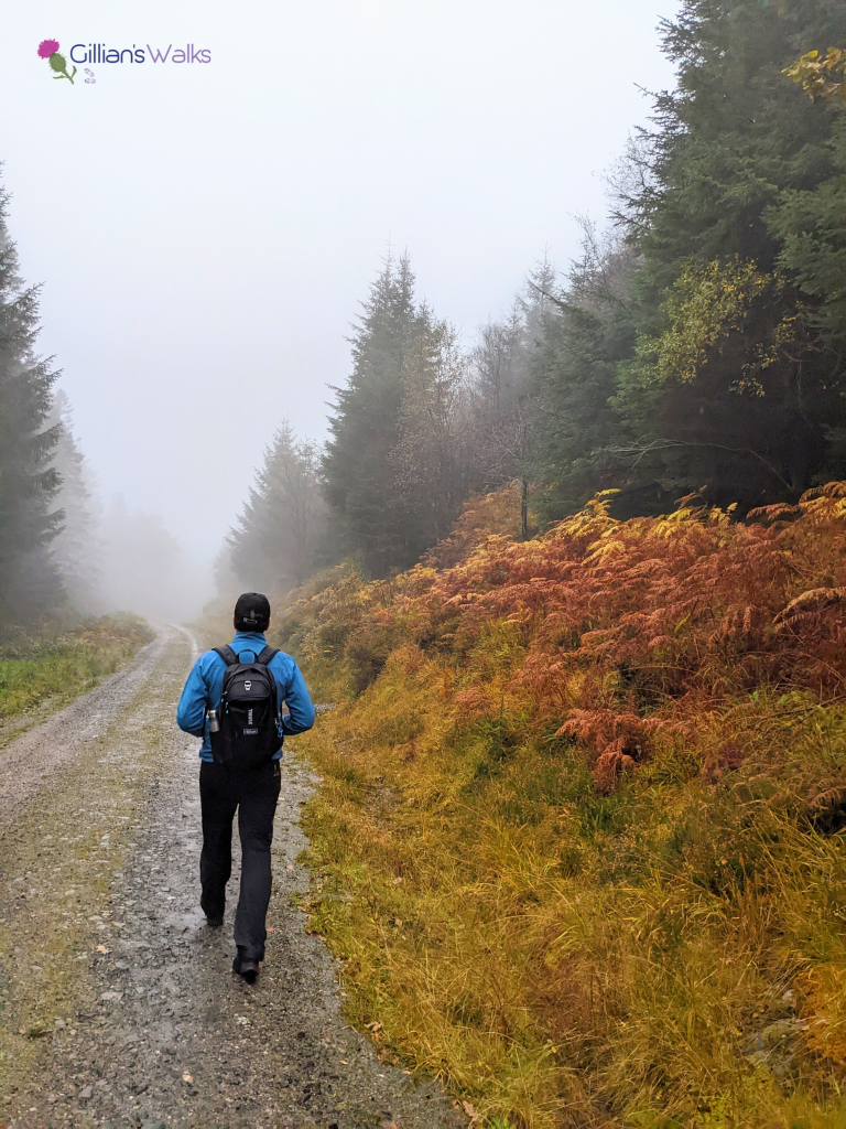 My husband walking along the forestry track in misty conditions