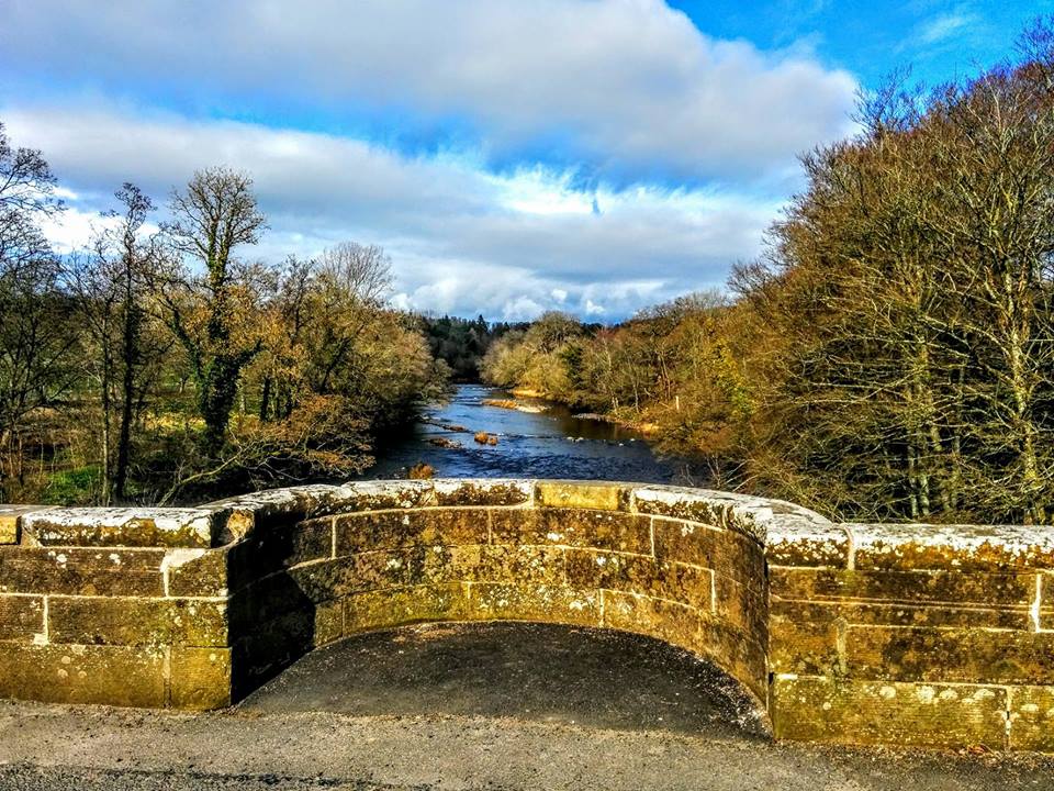 Looking over the side of Oswald's Bridge onto the River Ayr