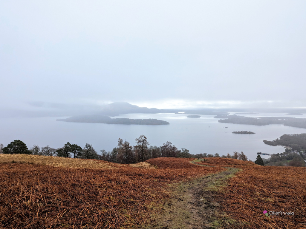 View across Loch Lomond from the lower slopes of Beinn Dubh