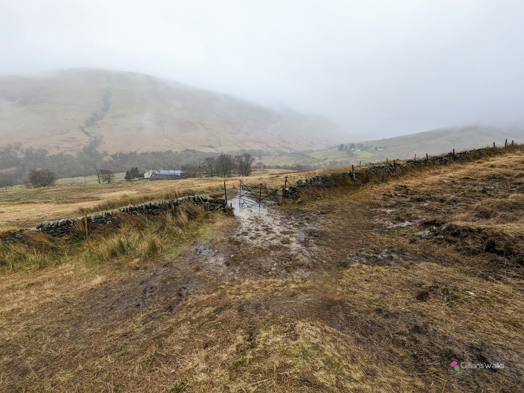 Waterlogged path and gate on the lower slopes of Beinn Dubh