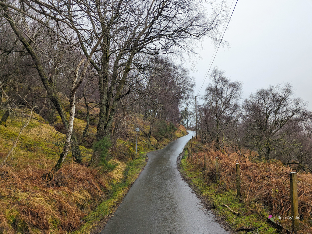 Smooth surfaced single track road in Glen Luss surrounded by woodland