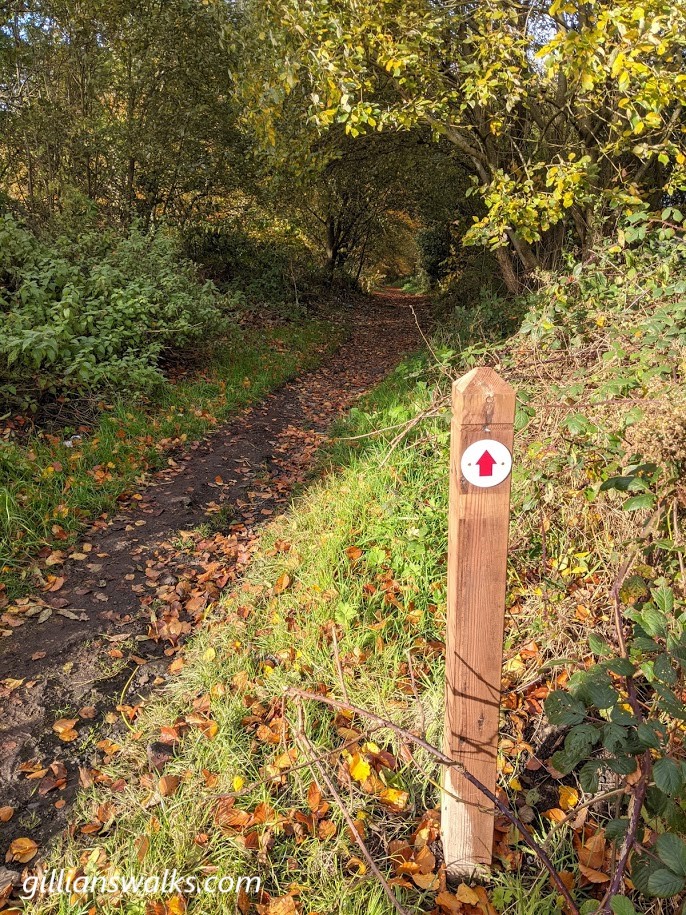 Marker post with arrow pointing straight ahead along a woodland path