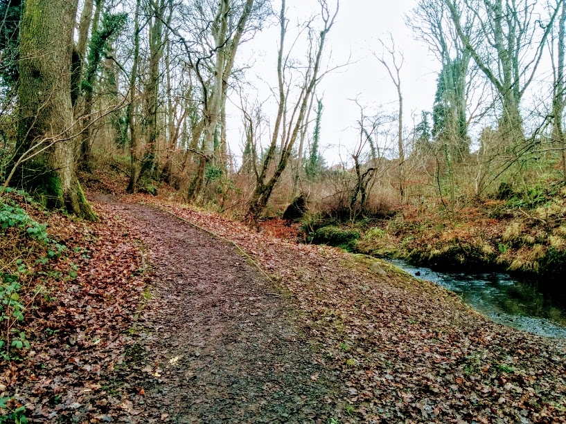 Woodland path next to Slaphouse Burn
