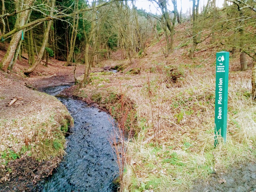 Forestry Commission Scotland marker post at entrance to Dean Plantation beside Pitfirrane burn