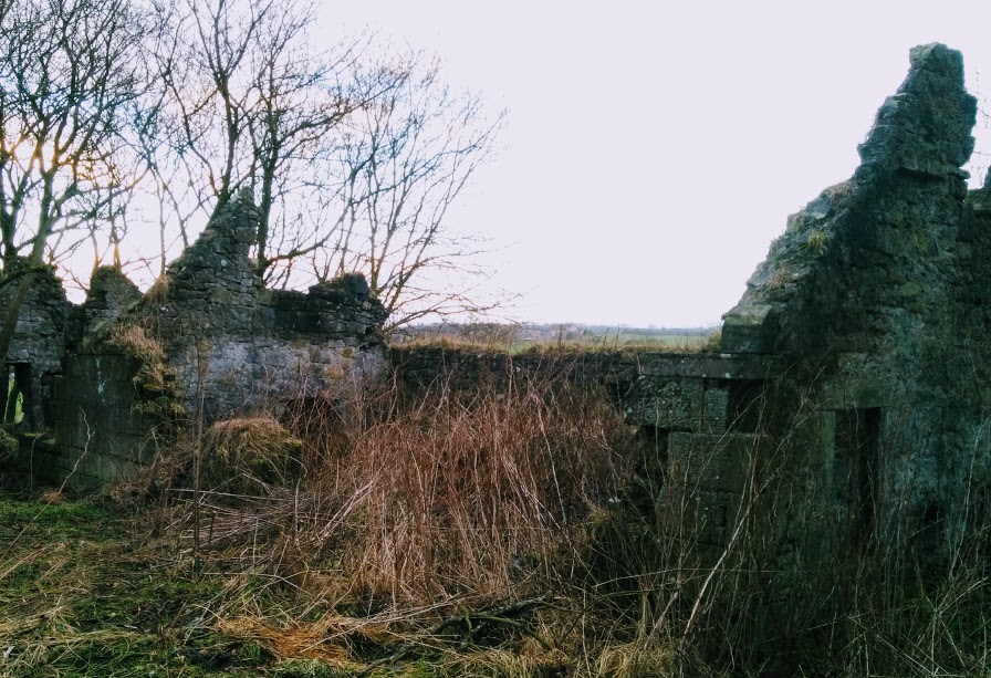 Stone ruin - Thimble Hall