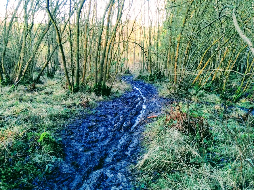 Very muddy woodland path