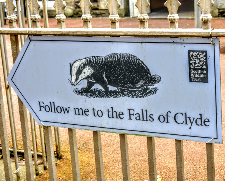 Scottish Wildlife Trust sign pointing to the Falls of Clyde