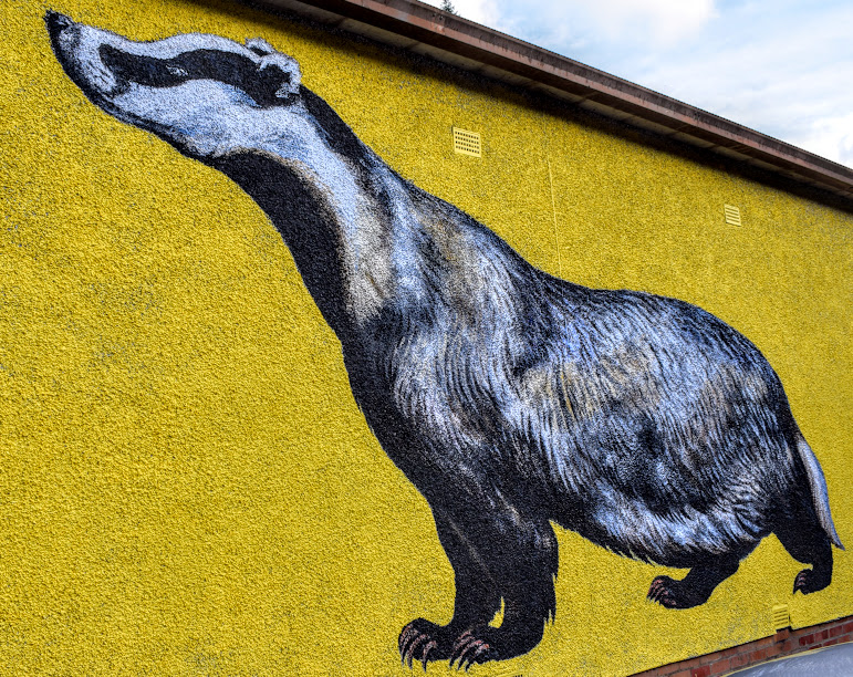 Badger painted onto a wall, indicating the Falls of Clyde route