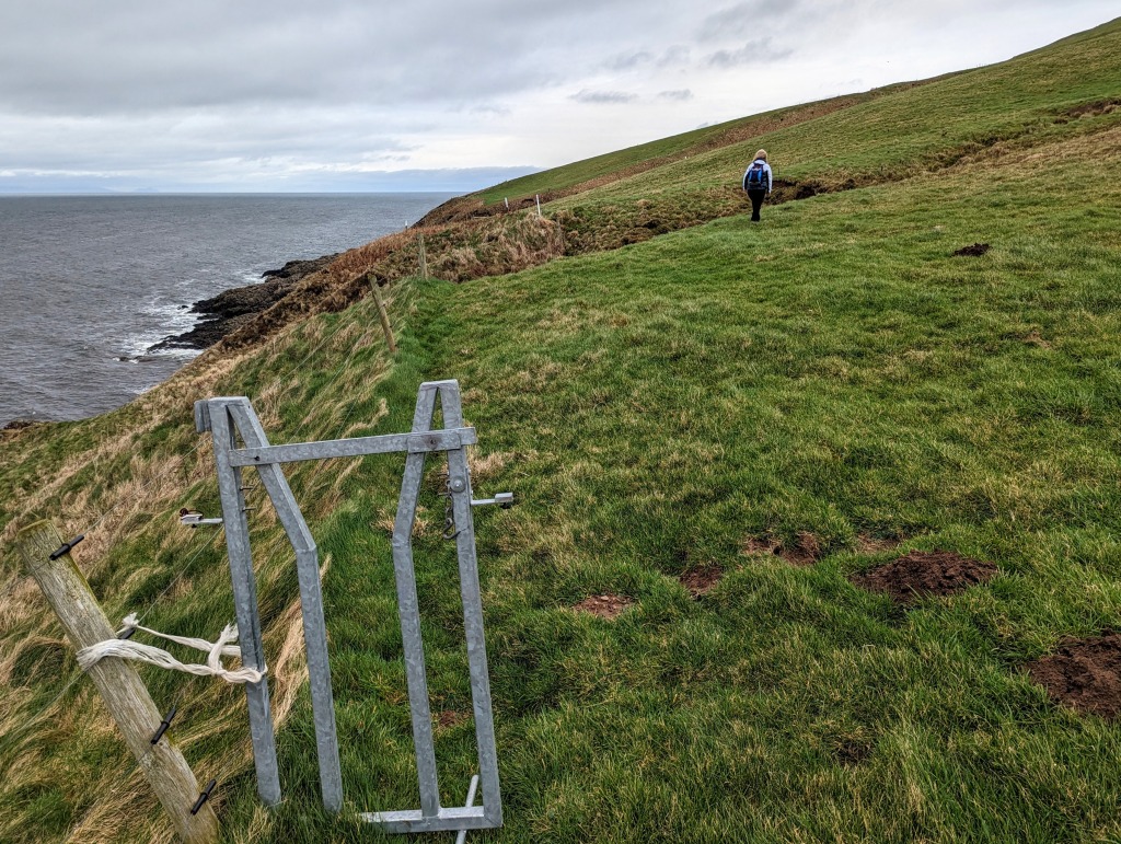 Metal "squeeze stile" attached to a field-edge fence near Ballantrae, Ayrshire