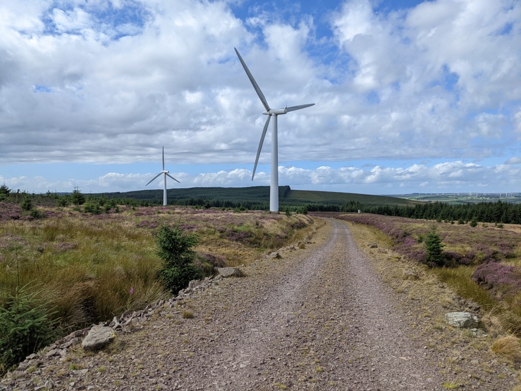 Windfarm track and turbines