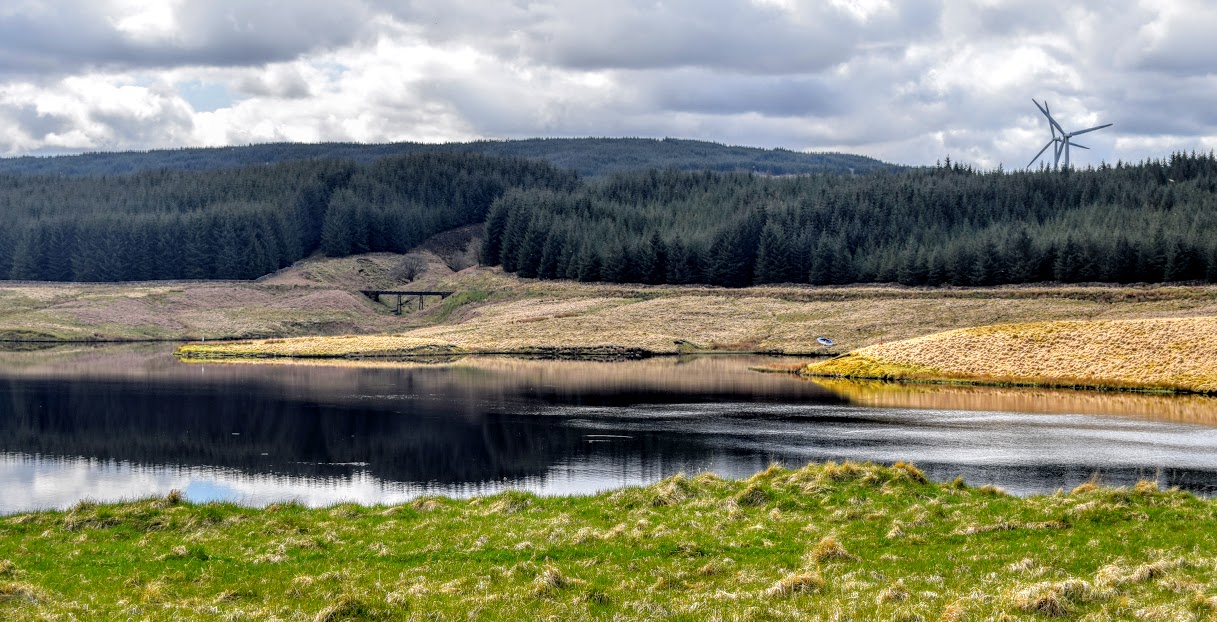Looking across Glengavel Reservoir to the forest and wind turbines. 