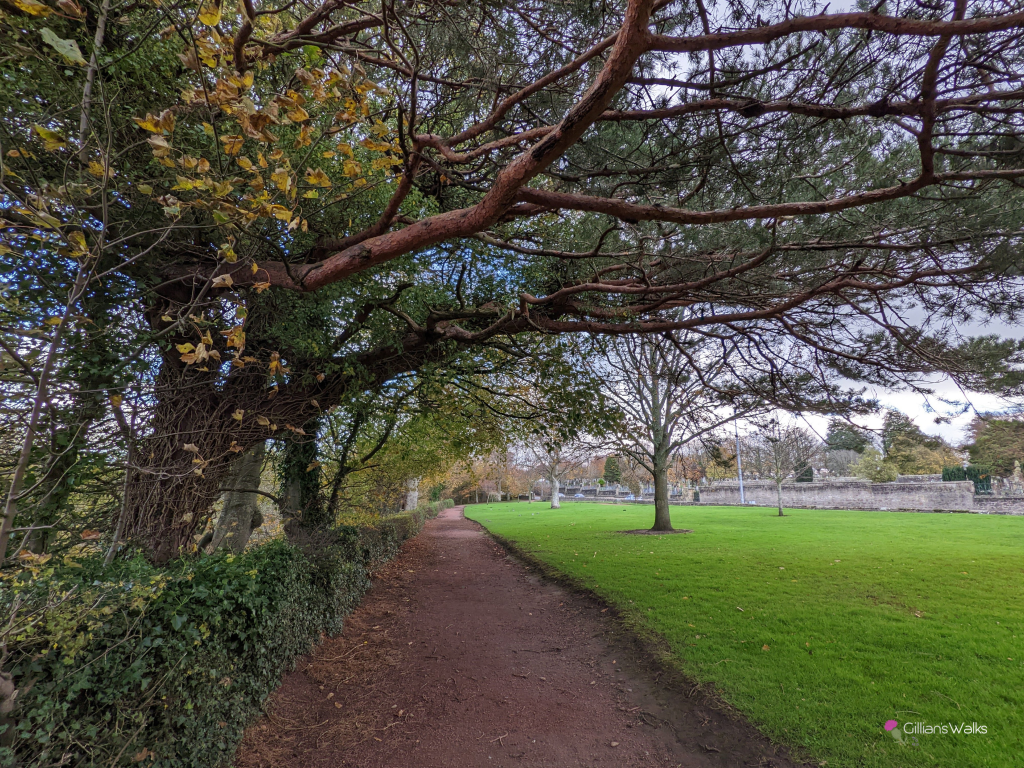 Tree-lined footpath with large grassy area to the right separating it from Holmston Road