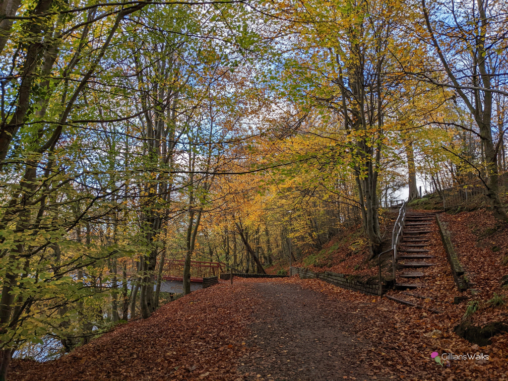 Wide woodland path leading to a footbridge and a set of steps to the right. A lovely autumnal scene. 