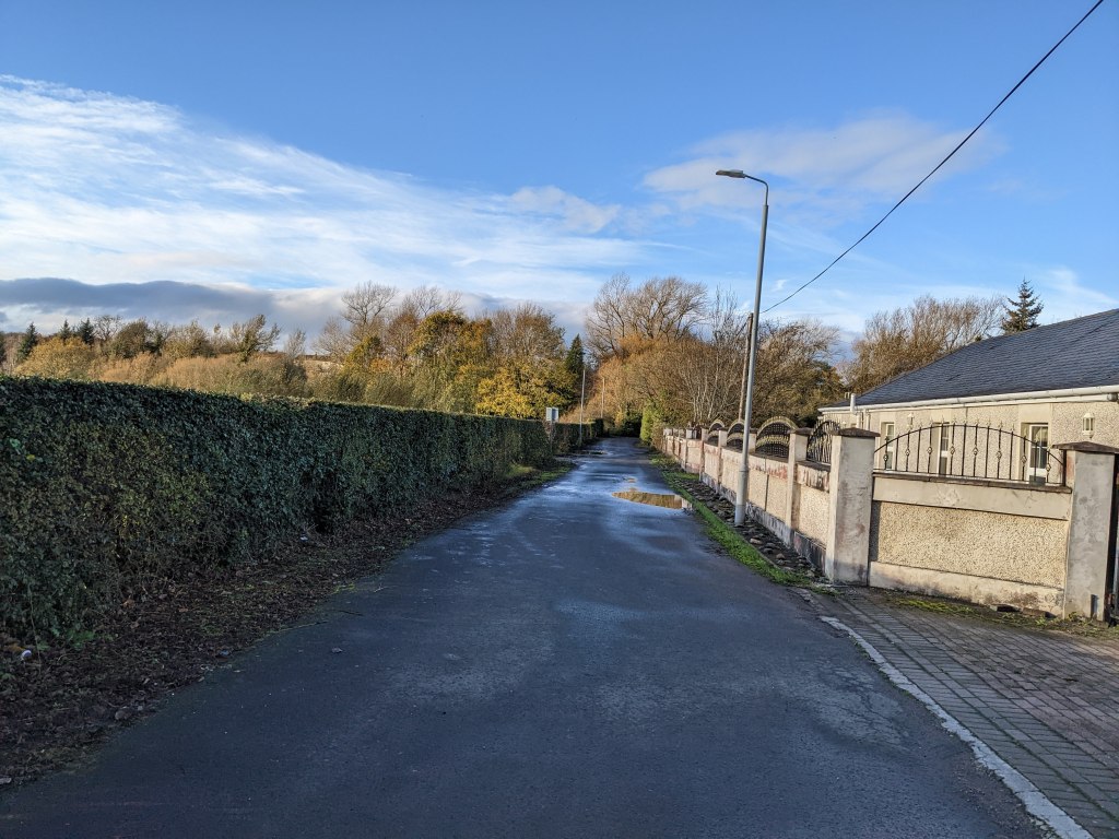 Single track road with a high hedge on the left and a bungalow on the right