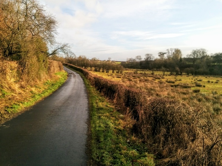 Country road in Knockentiber