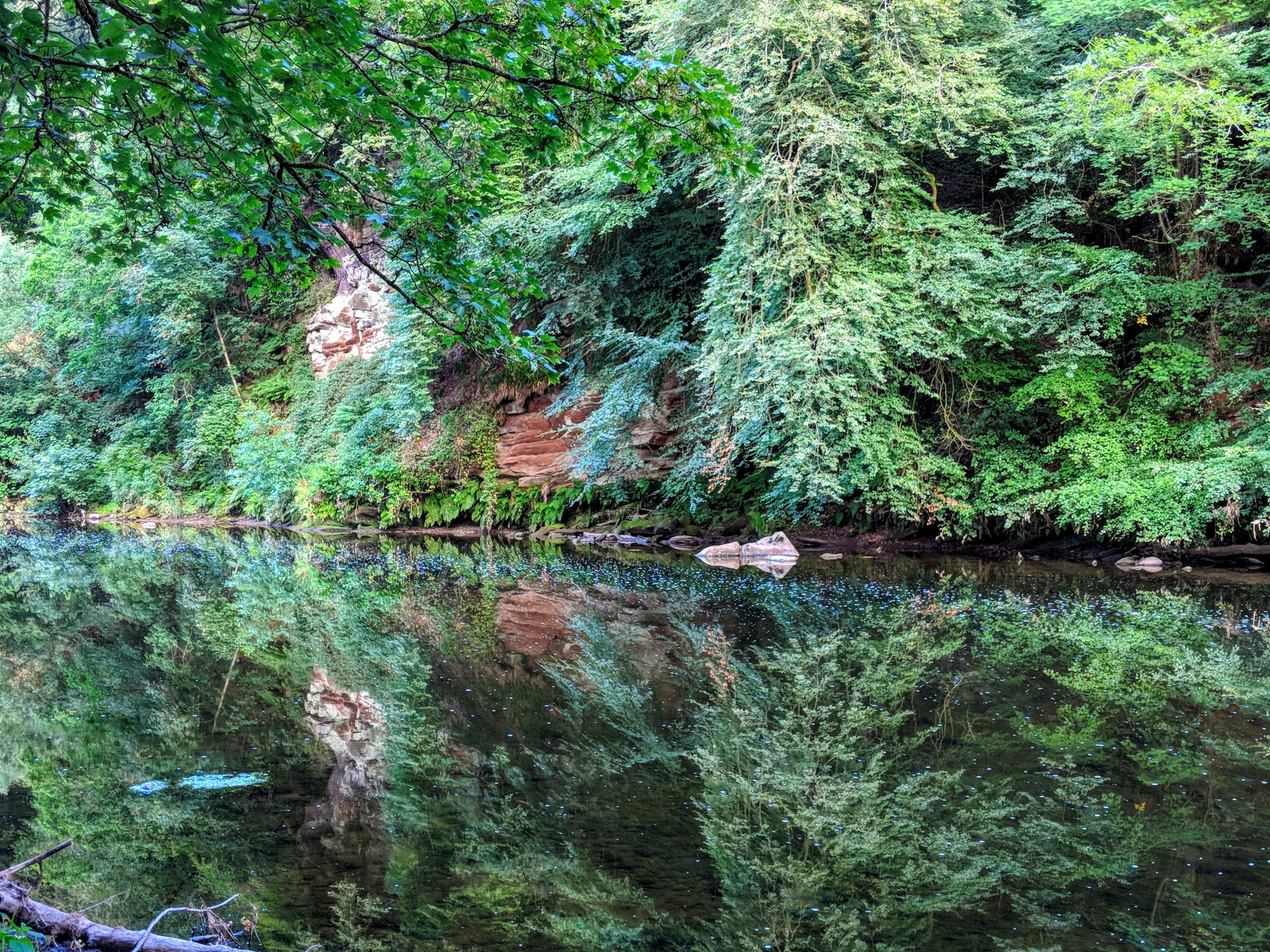 Reflections of trees and red sandstone gorge into the River Ayr