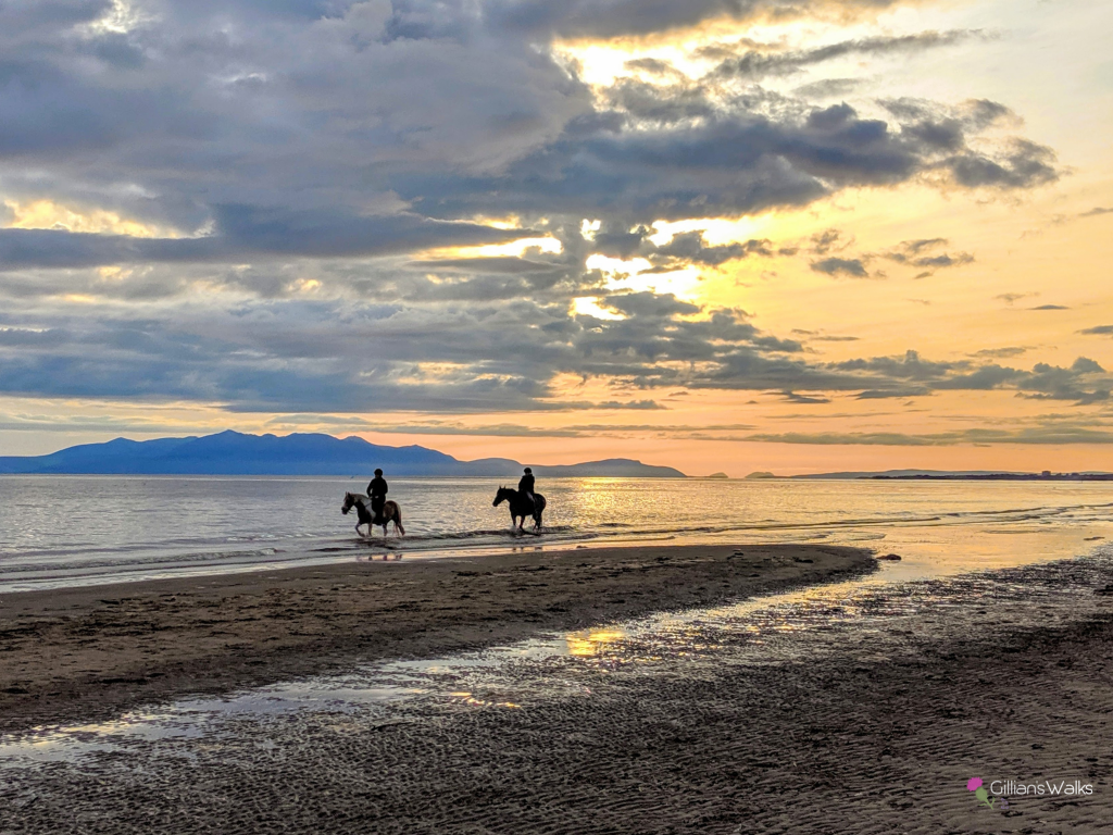 Two horses trotting along Irvine Beach at sunset, the mountains of the Isle of Arran a silhouette against the red sky. 