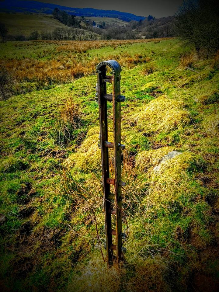 Steel fence post