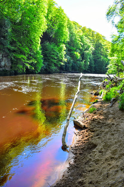 Sun shining into the River Ayr highlighting the red sandstone beneath