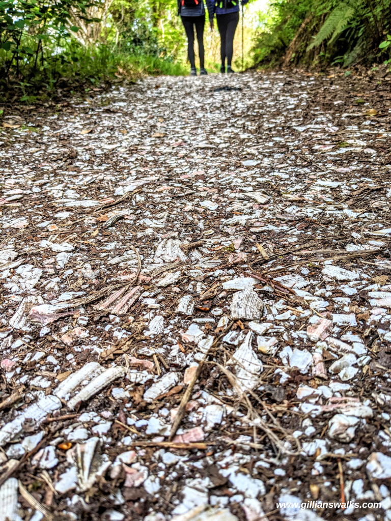 Close up of footpath made from broken pieces of shell