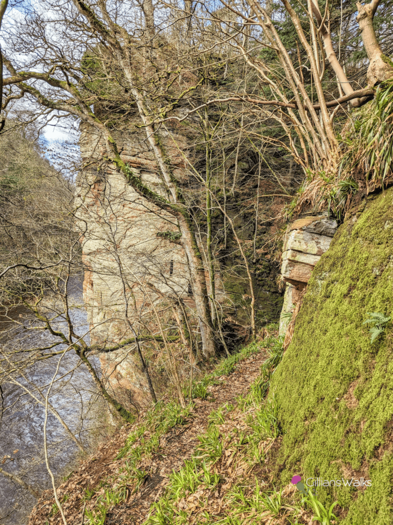 narrow cliff-edge path leading to Wallace's Cave, Auchinleck Estate