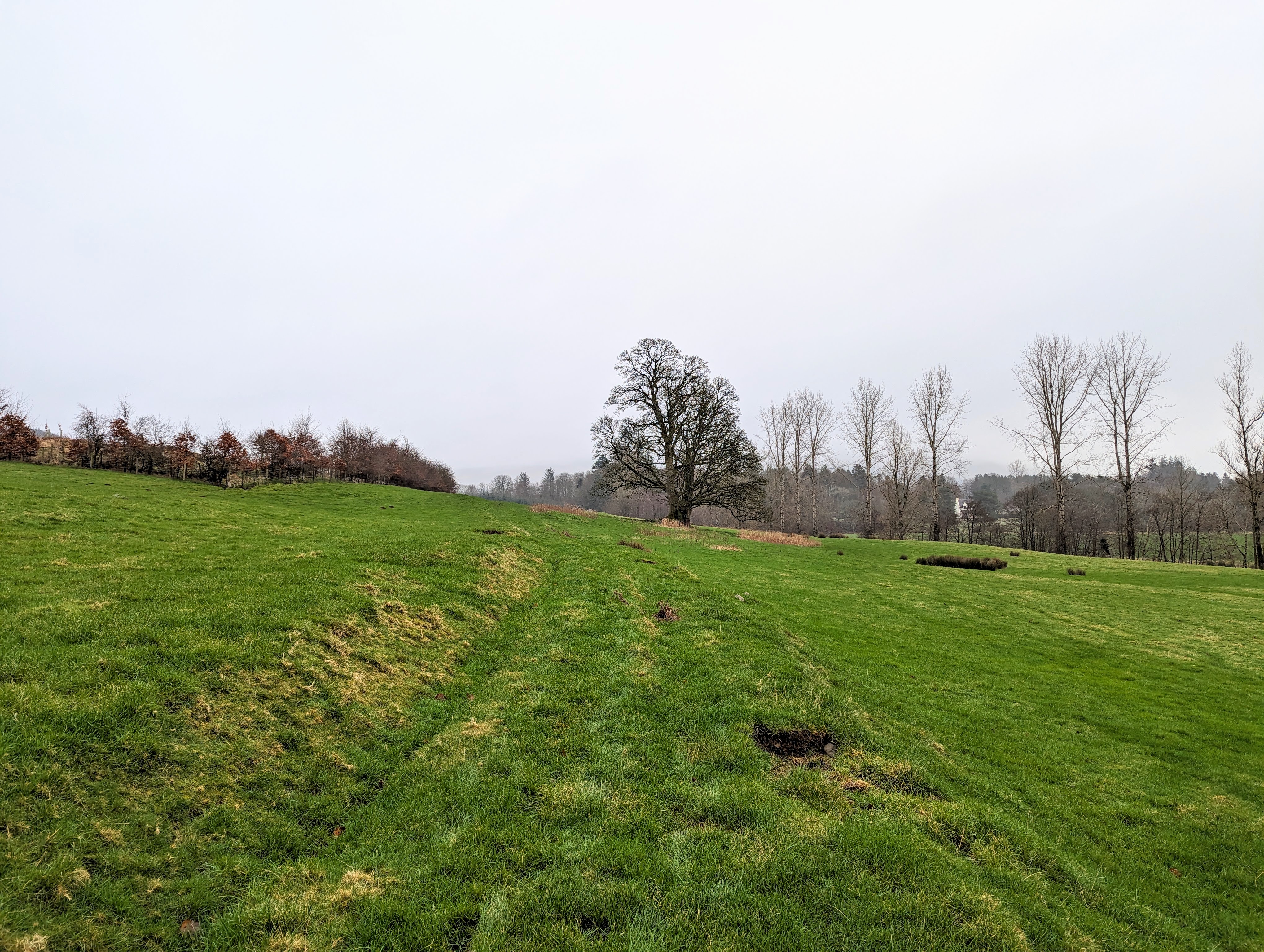Grassy track across a field