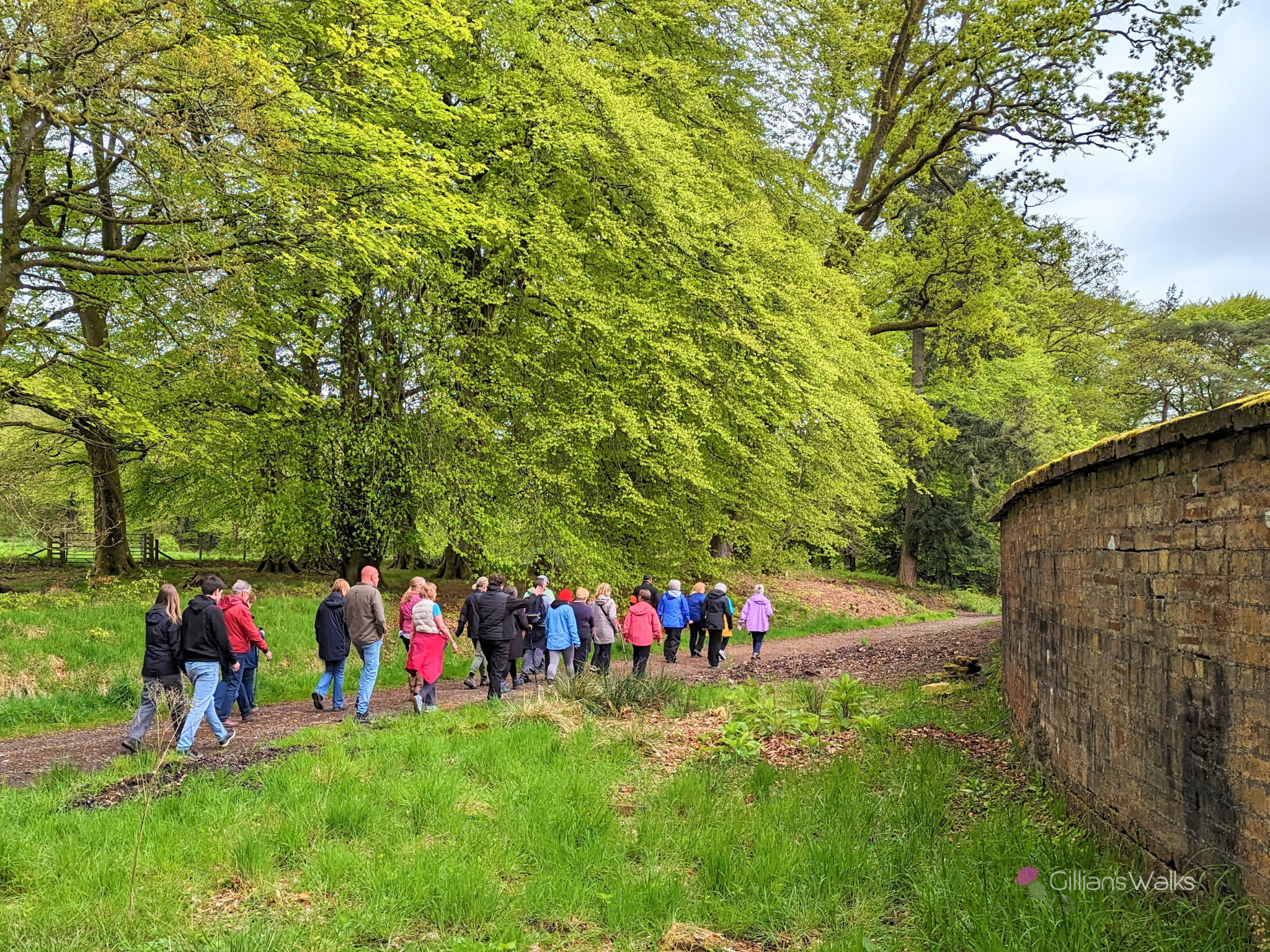 Group of walkers on a woodland trail in Lanfine Estate