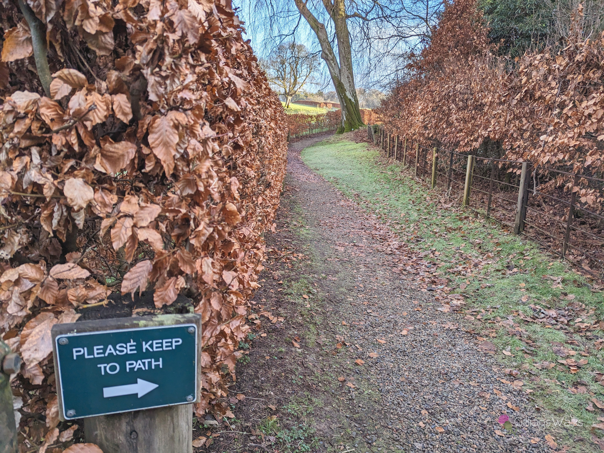 A small directional sign saying "Please keep to path" and an arrow pointing to a gravel trail. Along both sides of the trail are orange leaved beech hedgerows