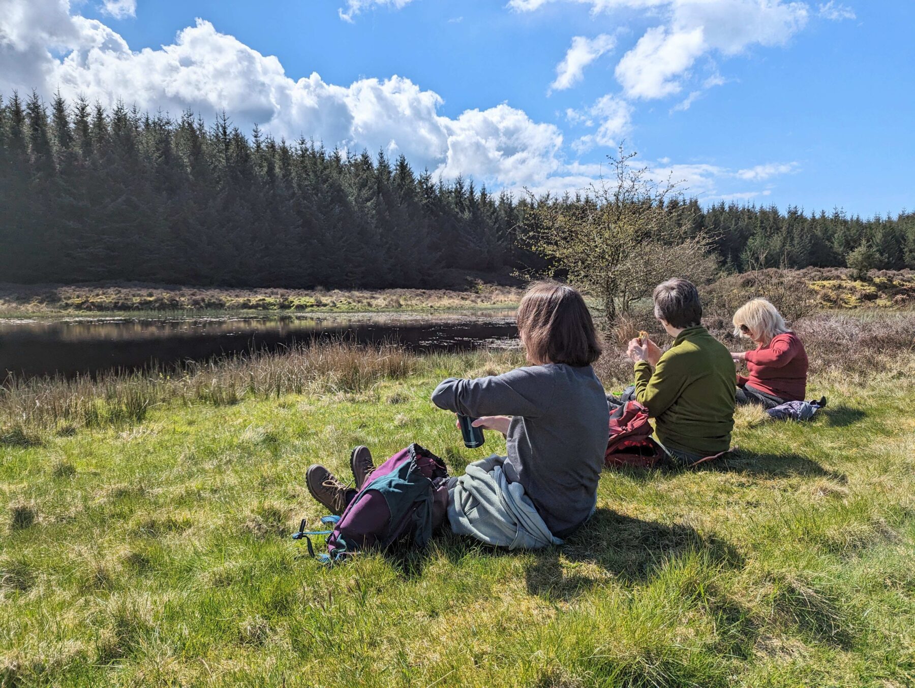 Three walkers sit on the grass beside a loch, surrounded by forest