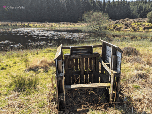 Mad-made wooden bird hide built from pallets, on the edge of a small loch
