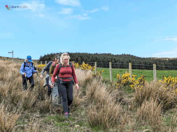 Group of hikers walking through long grass