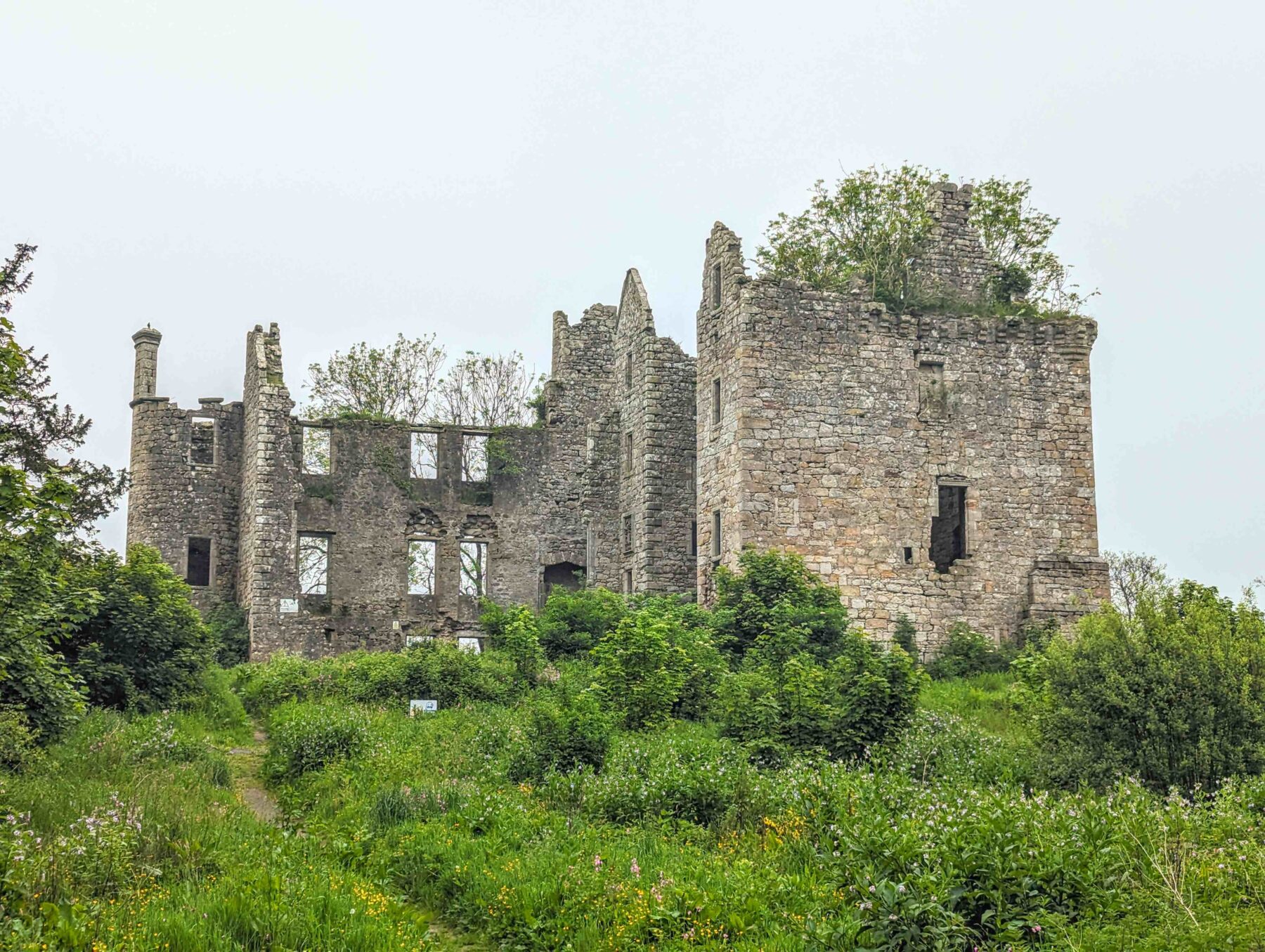 Ruinous stone castle surrounded by overgrown vegetation