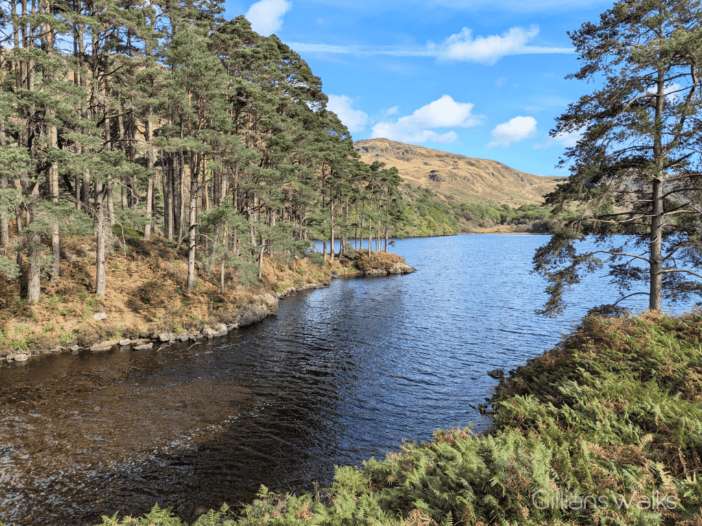 Blue sky reflecting in Loch Trool