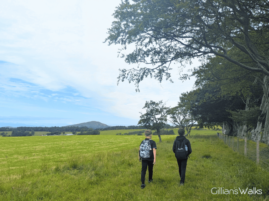 My sons strolling along a grassy track on a field with Knockdolian Hill peeking out in the distance