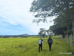 My sons strolling along a grassy track on a field with Knockdolian Hill peeking out in the distance