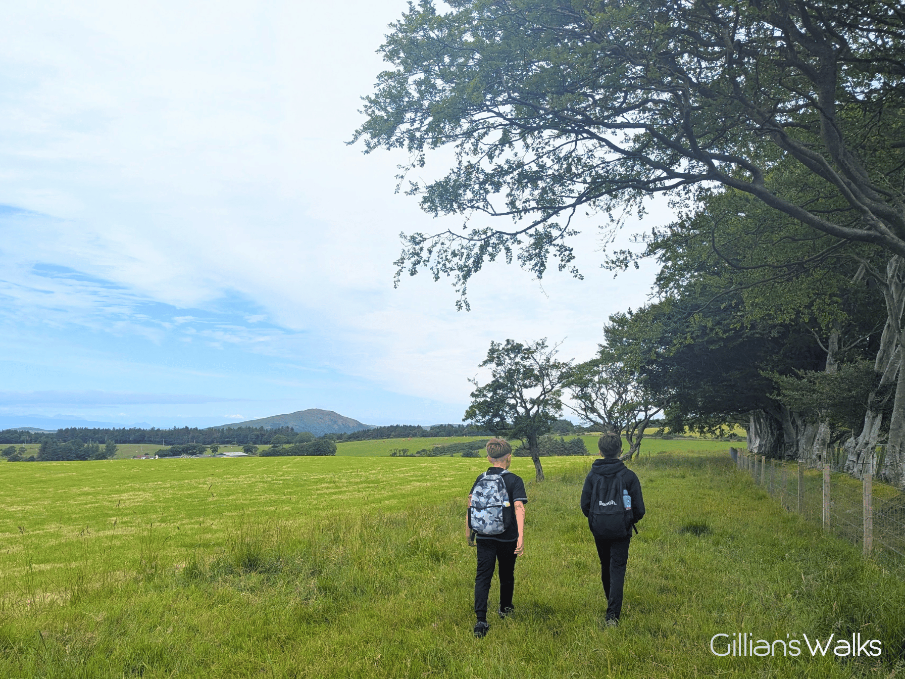 My sons strolling along a grassy track on a field with Knockdolian Hill peeking out in the distance