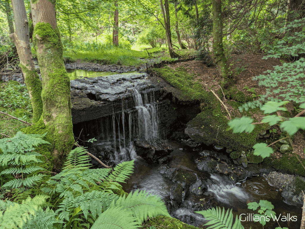 Small waterfall in a woodland