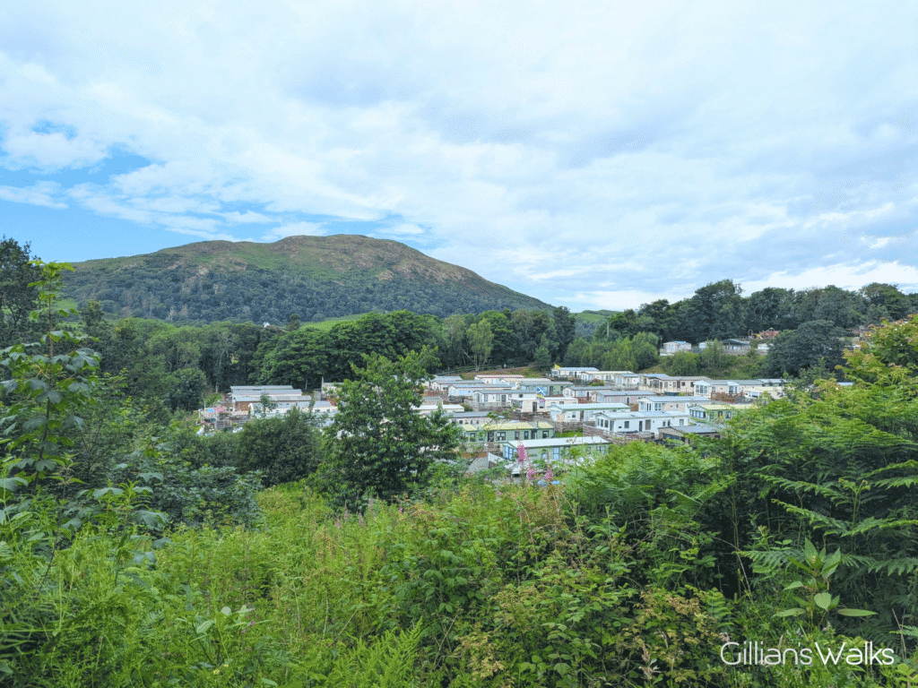 A small caravan park nestled amongst trees with Knockdolian Hill towering behind